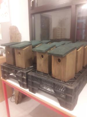 Freshly Painted Bird Boxes