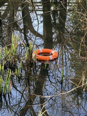 Lifebelt thrown in pond